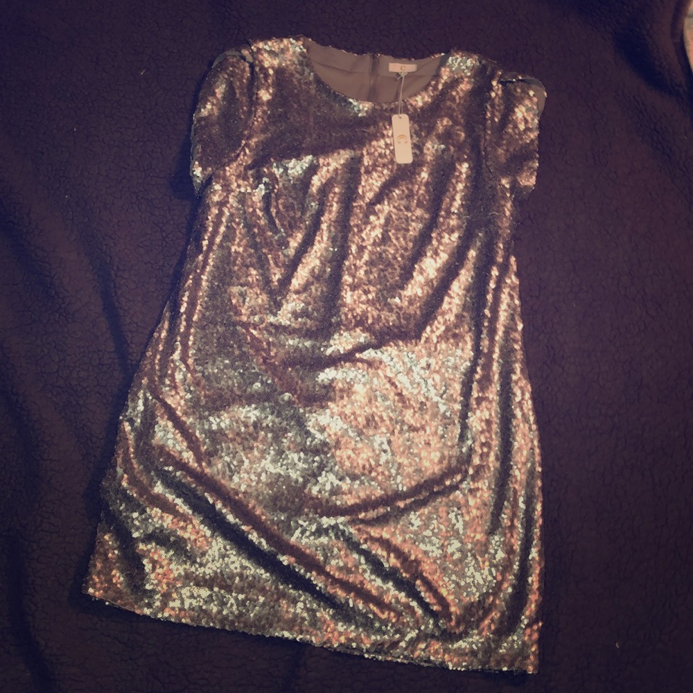 2/$20 NWT dark silver sequin dress
